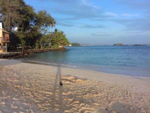 a bird standing on a beach with the ocean at Prasad Suomi Villa in Matara