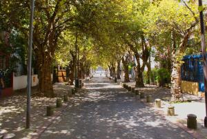 una calle arbolada con una fila de árboles en Dolce Lobo Boutique Stay, en Quito