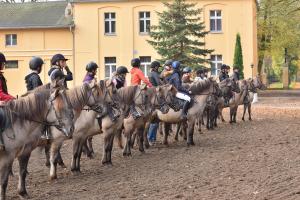 シェラクフにあるStado Ogierów Sierakówのギャラリーの写真