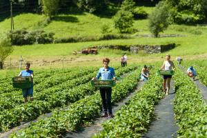 a group of people walking through a field of crops at coltiviamo-sogni in Campascio