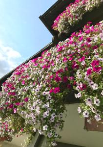 a bunch of flowers hanging from a building at Gästehaus Immenhof in Oberstdorf