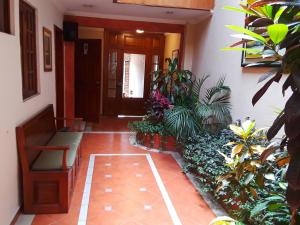 Zahrada ubytování Posada Todos Santos
