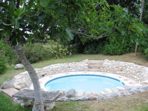 a swimming pool with a rock wall around it at Fleur Bleue & The Timber Frame in Heidelberg