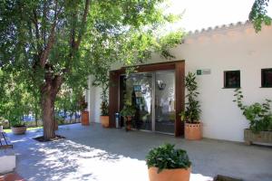 Zahrada ubytování Albergue Inturjoven Punta Umbría