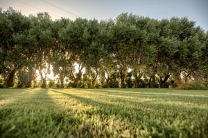 a field of grass with trees in the background at Casal Sikelio in Cassibile