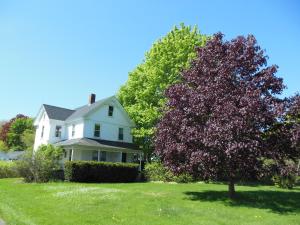 a white house with a tree in front of it at Bar Harbor Cottages & Suites in Bar Harbor