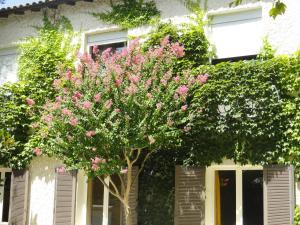un albero di fronte a una casa con fiori rosa di Hotel de l'île ad Avignone