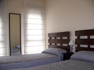 1 dormitorio con 2 camas y espejo en Dúplex 3 dormitorios, en Sabiñánigo