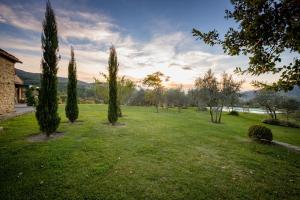 a group of trees in a field with a building at Villa Gaggioleto in Castiglion Fiorentino