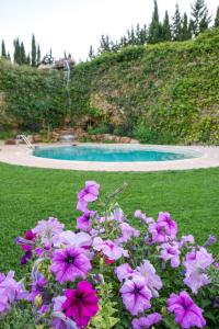 a bunch of purple flowers in front of a pool at Font del Pas in Beceite