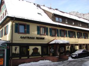 Gallery image of Hotel Freihof in Oberharmersbach