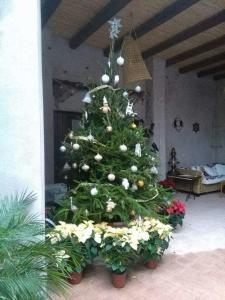 einen Weihnachtsbaum in einem Wohnzimmer mit Blumen in der Unterkunft Antico Ormeggio in Aci Castello