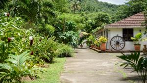 ścieżka prowadząca do domu z ogrodem w obiekcie Martinique Treehouse w mieście Canton Suisse