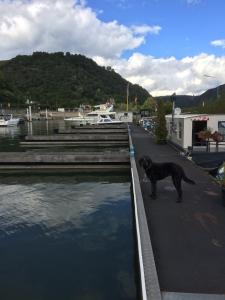Galeriebild der Unterkunft Hausboot Bounty in Sankt Goar