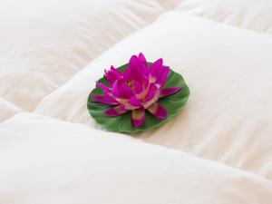 
a pink flower in a white vase on a bed at Camere Fontanavecchia in Vernazza
