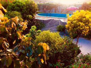 un jardín con piscina y algunas plantas en Casa Santa Barbara Deluxe en Ribeira Grande