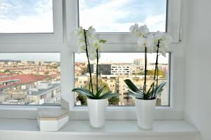 Nespecifikovaný výhled na destinaci Záhřeb nebo výhled na město při pohledu z apartmánu