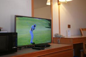 a television with a picture of a golfer at Widus Inn in Swift Current
