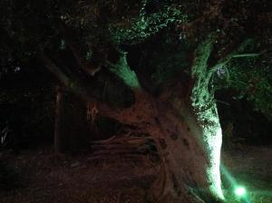 Fotografie z fotogalerie ubytování B&B Villa Eleonora v destinaci Realmonte