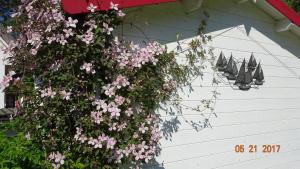 Zahrada ubytování Ferienhaus Lucia