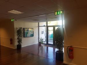 an empty room with two potted plants in front of a door at The Shipwreck Loft in Shotley Gate