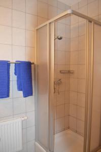 um chuveiro com uma porta de vidro na casa de banho em Chalet Kammleitn em Hermagor