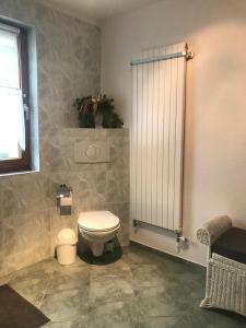 a bathroom with a toilet and a shower at Ferienwohnung Günschmann in Hausen