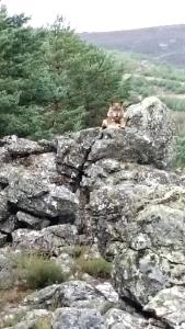 Příroda nedaleko hotelu