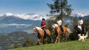 Fotografie z fotogalerie ubytování Widmannhof - Urlaub auf dem Biobauernhof v destinaci Bressanone