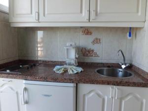 A kitchen or kitchenette at Apartamentos La Carabela