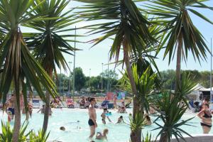 a group of people in a swimming pool with palm trees at Camping Village Baia del Marinaio in Vada