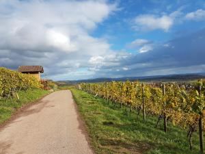 Foto dalla galleria di Gästezimmer in Aspach a Aspach