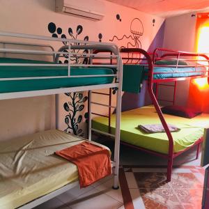 プラヤ・ブランカにあるTaca Tucan Hostelの二段ベッド2組が備わる二段ベッド付きの客室です。