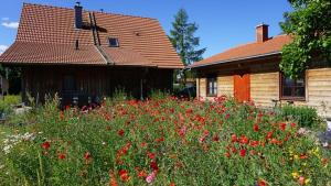 a field of flowers in front of a house at Gaestehaeuser Eva_Maria und Reinha in Hinrichshagen Hof