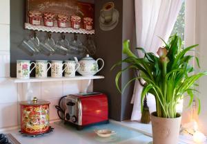 a kitchen counter with a toaster and a plant at Casa Rosa Garden House in Santa Cristina d'Aro