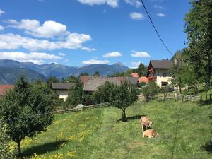 Príroda v okolí hotela
