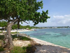 Gallery image of Point Village in Negril