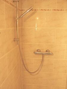 eine Dusche mit einem Schlauch im Bad in der Unterkunft Gästehaus Cheval Blanc in Lorch am Rhein