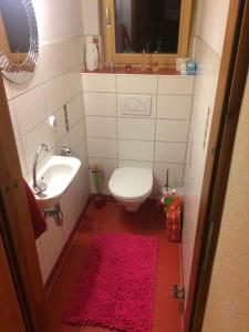 een kleine badkamer met een toilet en een wastafel bij Appartement Mary in Schladming