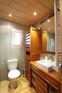 a bathroom with a toilet and a sink at Chalet Barcelonnette in Barcelonnette