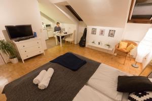 a man is standing in a living room with a living room at Studio Vienna Central Station in Vienna