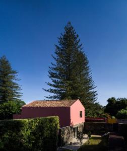 a pink barn with a large pine tree behind it at Pink House Azores in Ponta Delgada