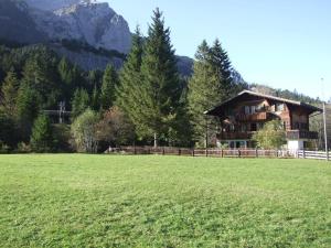 una casa en un campo frente a una montaña en Chalet Kanderhus en Kandersteg