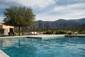 a swimming pool with chairs and a tree and mountains at Altalaluna Hotel Boutique & Spa in Cafayate