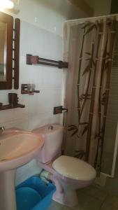 La salle de bains est pourvue d'un lavabo, de toilettes et d'une douche. dans l'établissement Studios Carribean Sea View, à Sainte-Anne