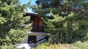 A garden outside Chalet Bergmann