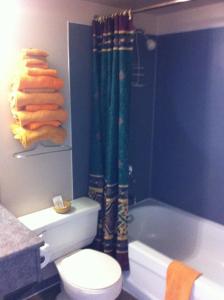 a bathroom with a toilet and a shower curtain at Rider's Motor Inn in Kamloops