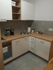 Köök või kööginurk majutusasutuses Apartamenty Jesionowa