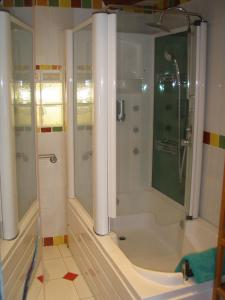 La salle de bains est pourvue d'une douche avec une porte en verre. dans l'établissement Chambres d'Hotes La Grange au Negre, à Alba La Romaine