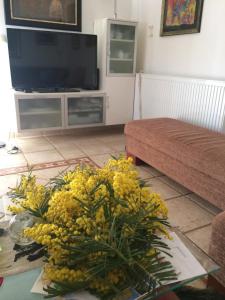 TV a/nebo společenská místnost v ubytování Flanell Apartments